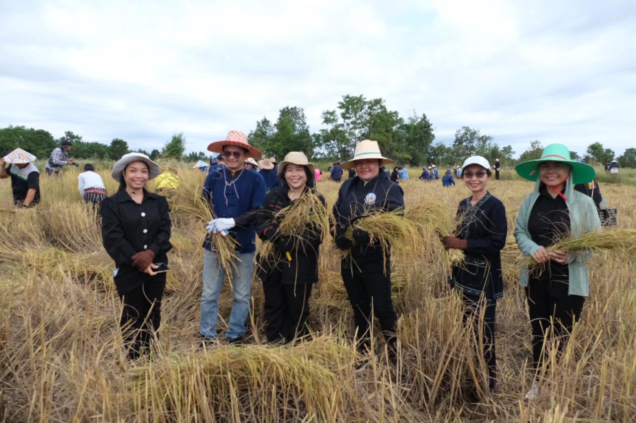 ภาพประกอบที่ 2