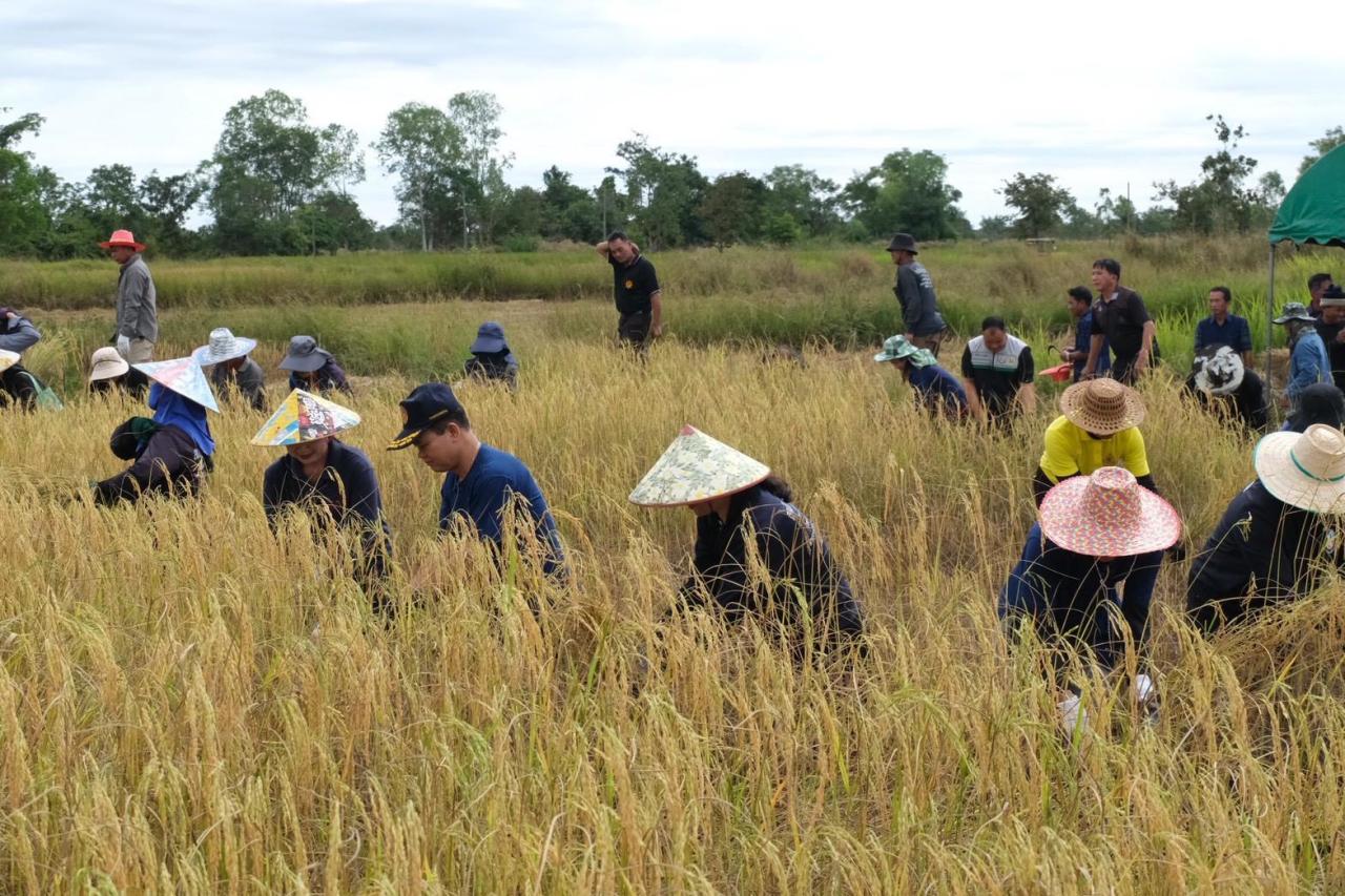 ภาพประกอบที่ 3