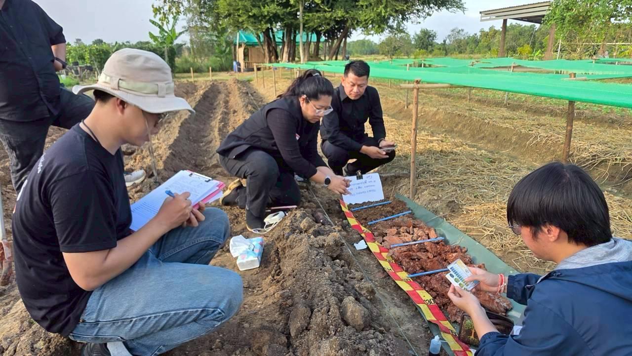 ภาพประกอบที่ 6