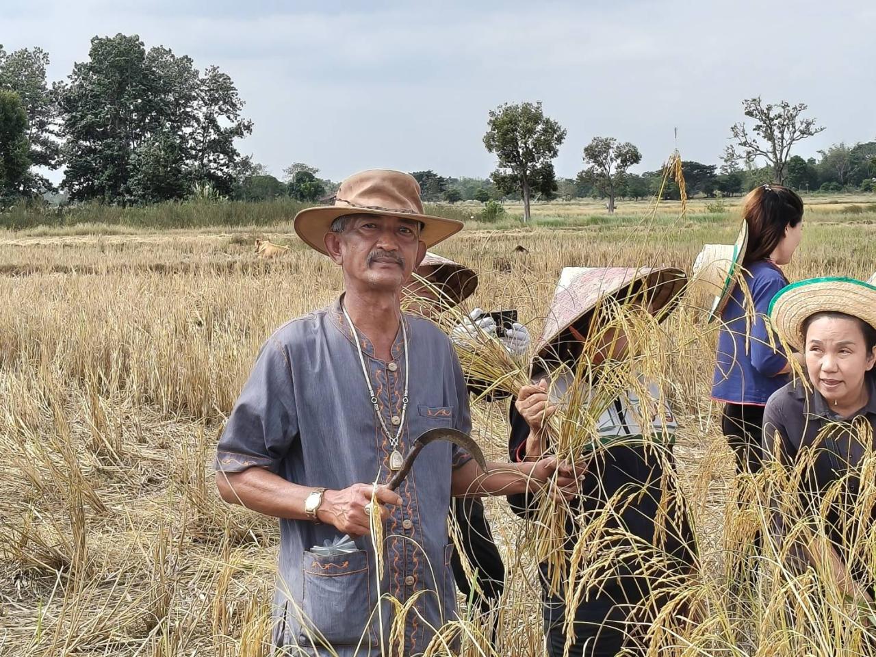 ภาพประกอบที่ 7