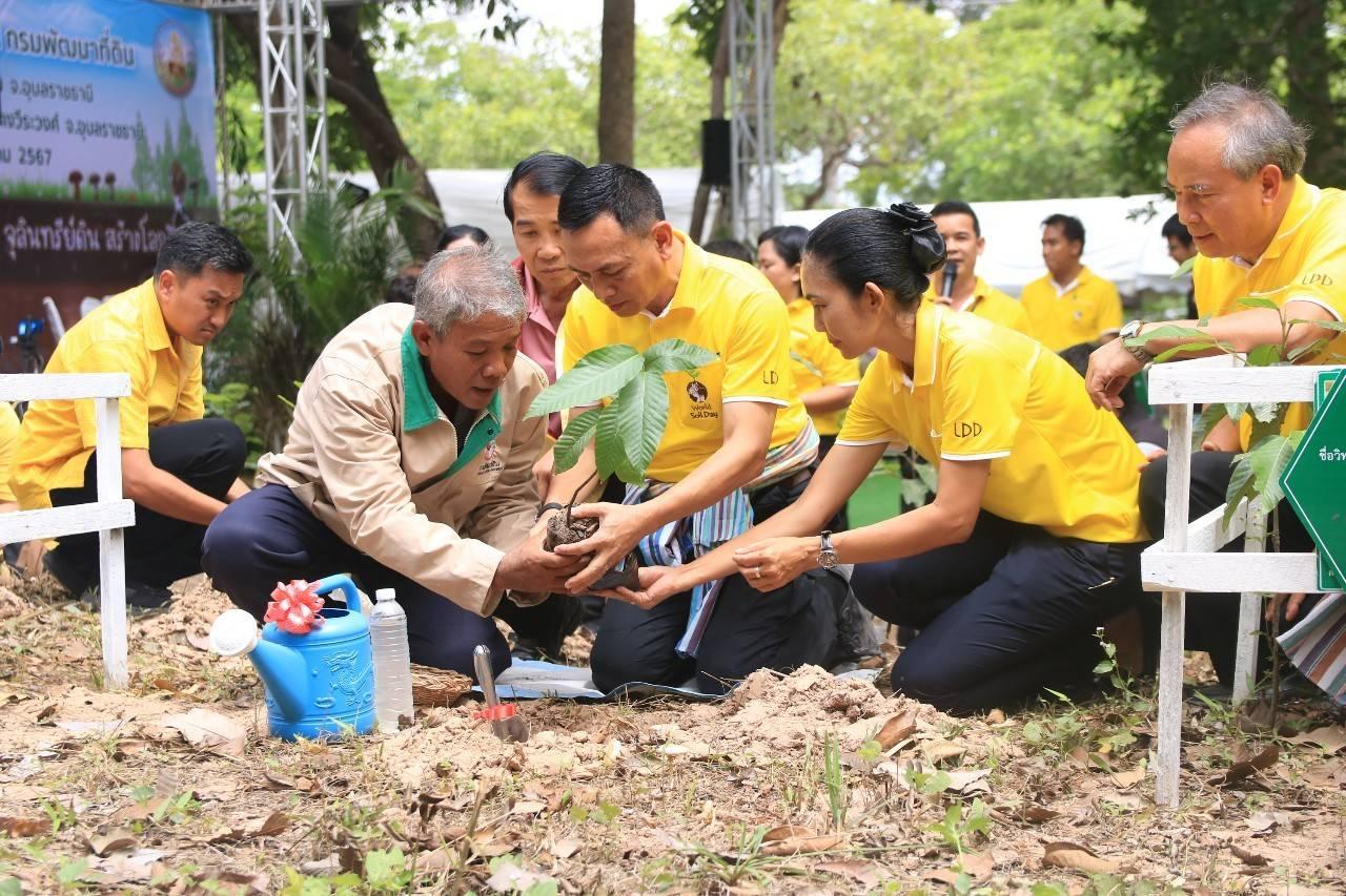 ภาพประกอบที่ 2