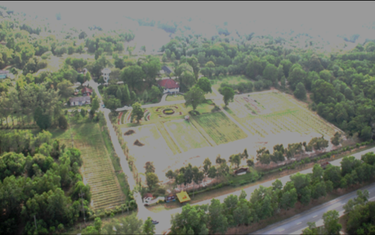 ภาพประกอบประวัติหน่วยงานสถานีพัฒนาที่ดินนราธิวาส