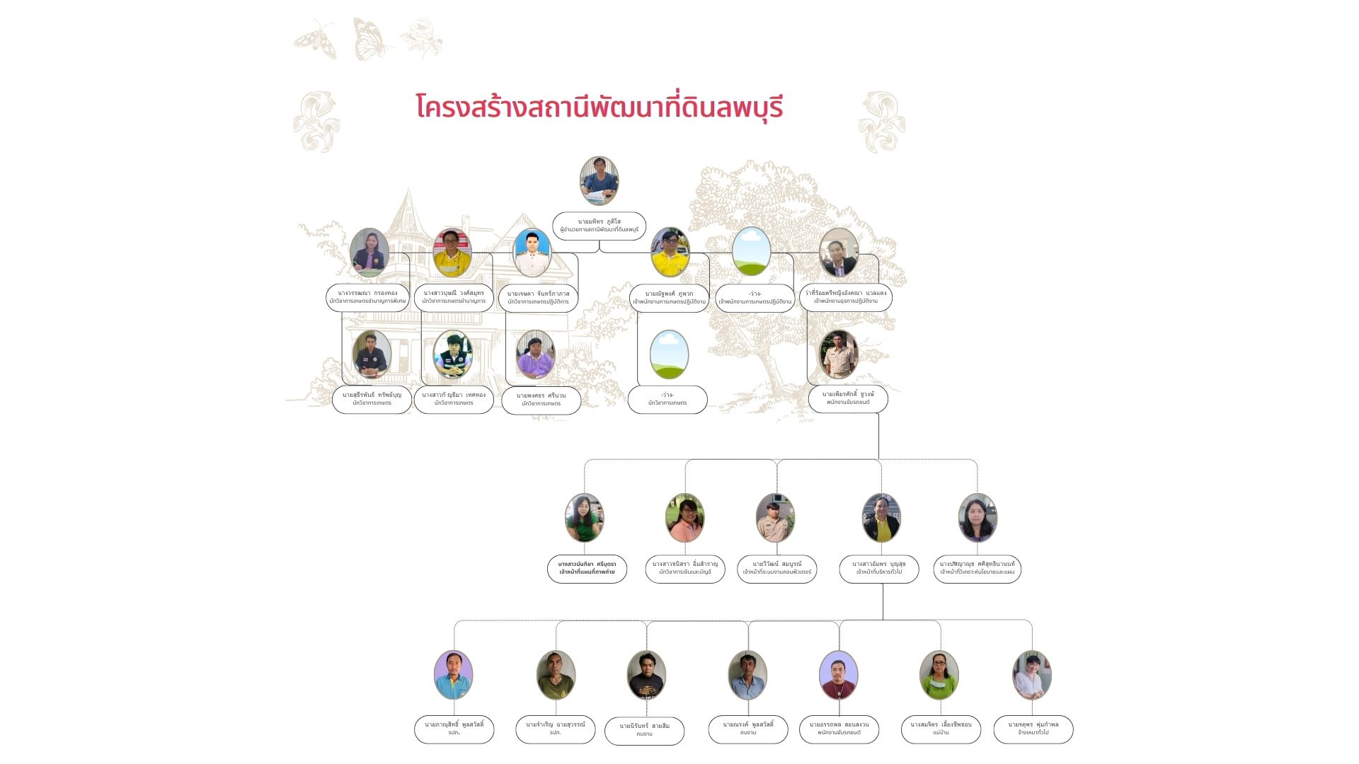 ภาพประกอบโครงสร้างหน่วยงานสถานีพัฒนาที่ดินลพบุรี