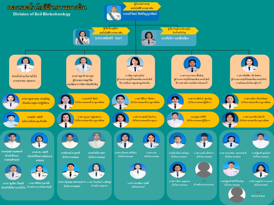 ภาพประกอบโครงสร้างหน่วยงานกองเทคโนโลยีชีวภาพทางดิน