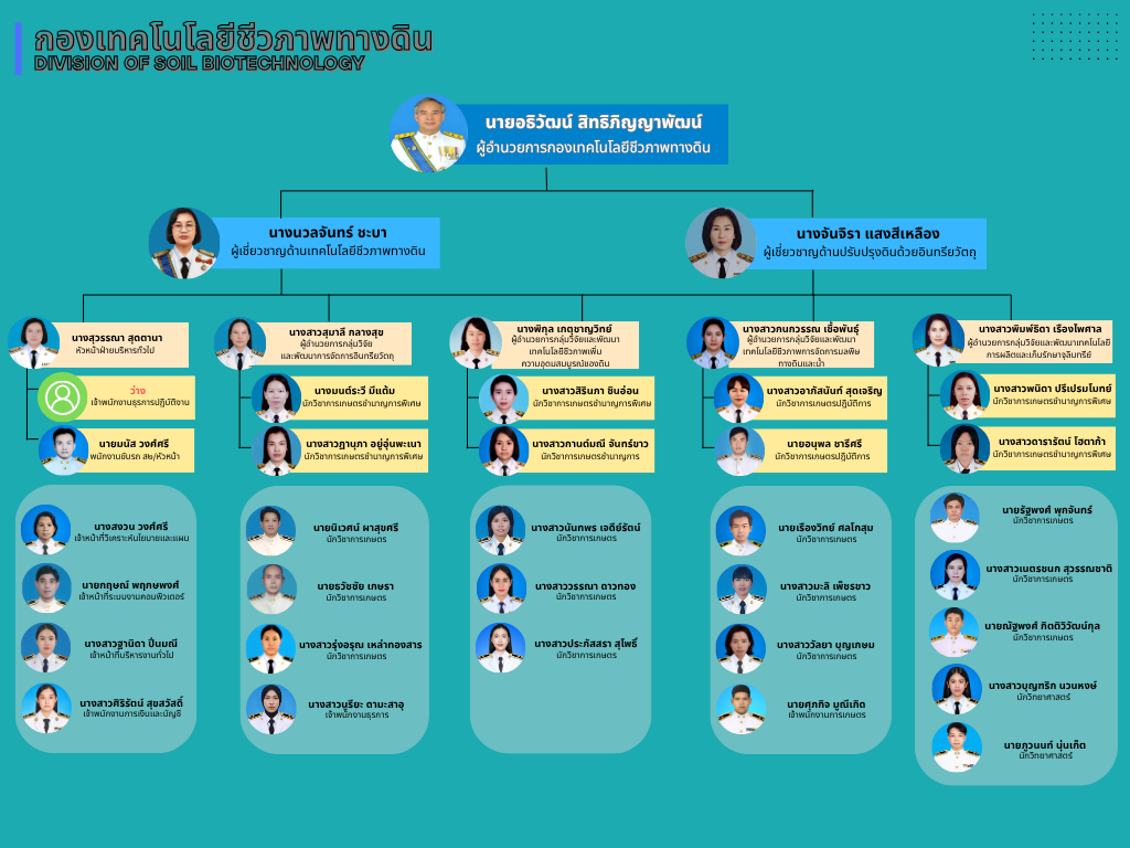 ภาพประกอบโครงสร้างหน่วยงานกองเทคโนโลยีชีวภาพทางดิน