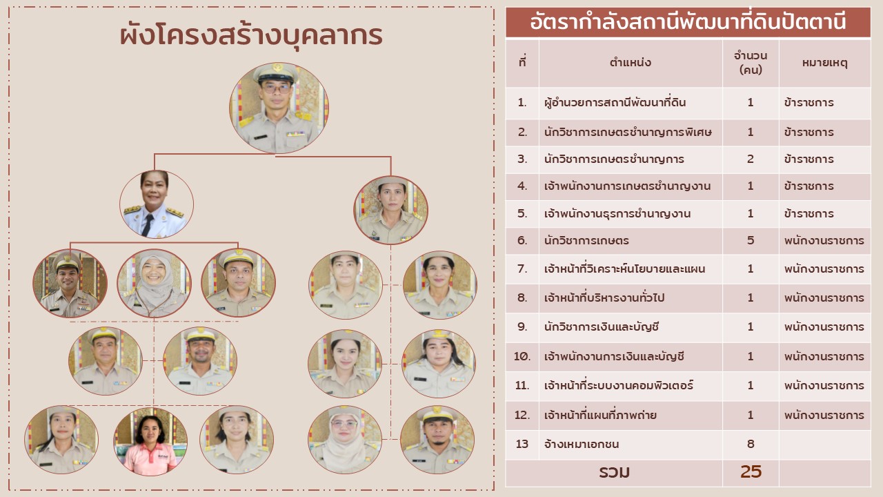 ภาพประกอบโครงสร้างหน่วยงานสถานีพัฒนาที่ดินปัตตานี