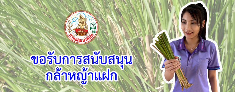 ภาพโลโก้บริการ ขอรับการสนับสนุนกล้าหญ้าแฝก