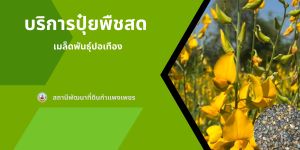 ภาพโลโก้บริการ E-Service