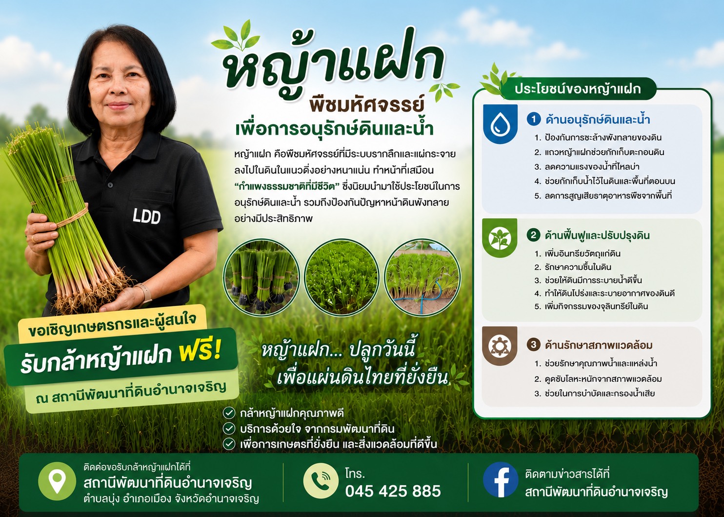 ภาพโลโก้บริการ กล้าหญ้าแฝก
